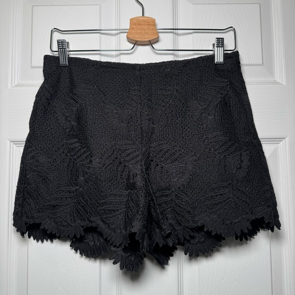 Sadie & Sage Pants - Sadie & Sage Black Lace High Waist Scalloped Shorts Medium Boho